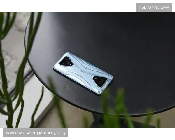 J9真人会平台的技术支持与稳定性分析提升游戏体验的关键因素