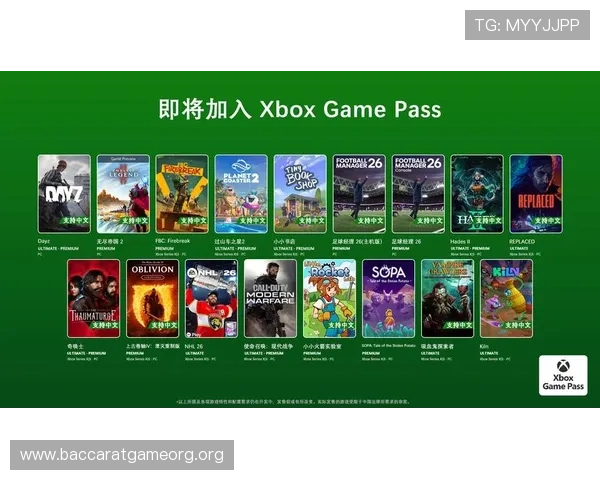 真人游戏平台下载最新版本，安全稳定支持多种热门游戏一键畅玩